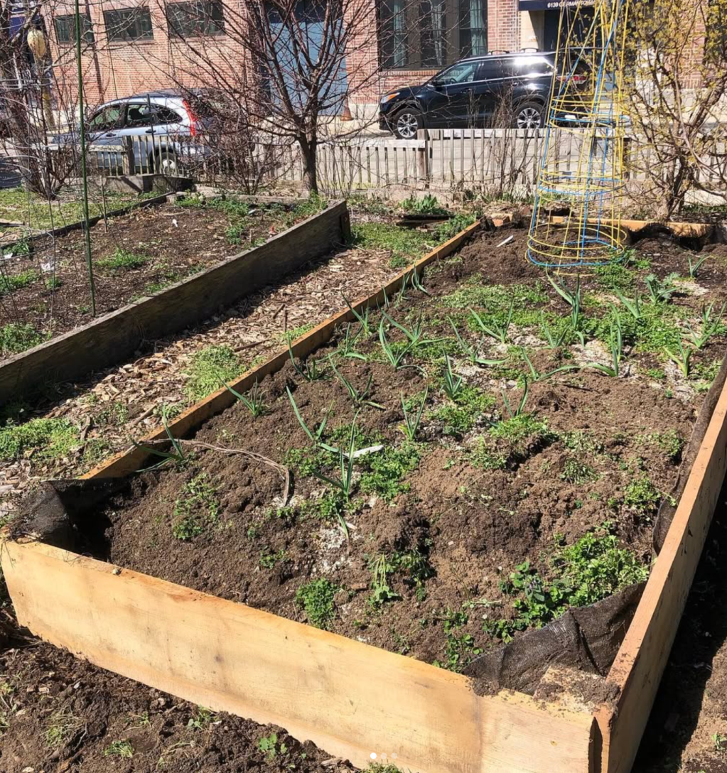 The Power of Teamwork:                          How Vita Litvak Built a Community Through&nbsp;Food