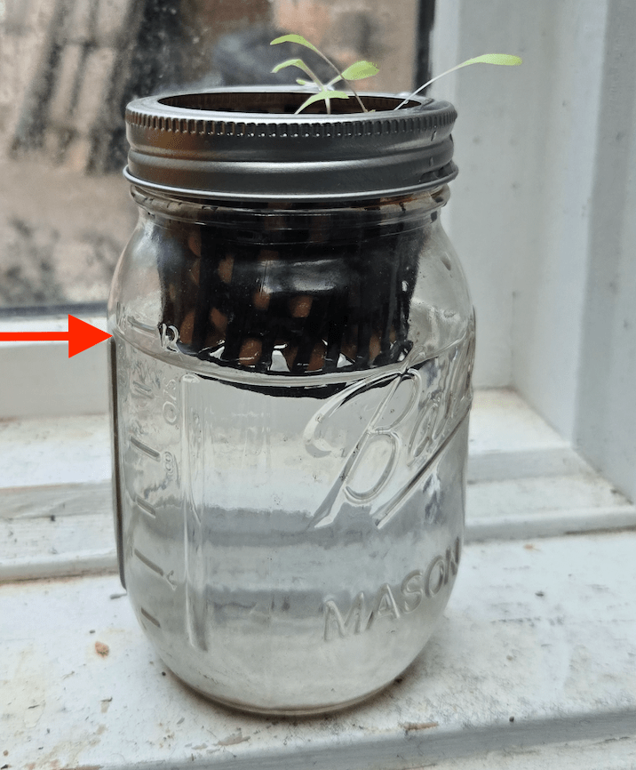 How I Made an Indoor Hydroponic Garden in Under 4&nbsp;Weeks