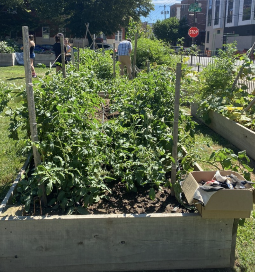 How College Students Can Advocate for Food Sovereignty on&nbsp;Campus