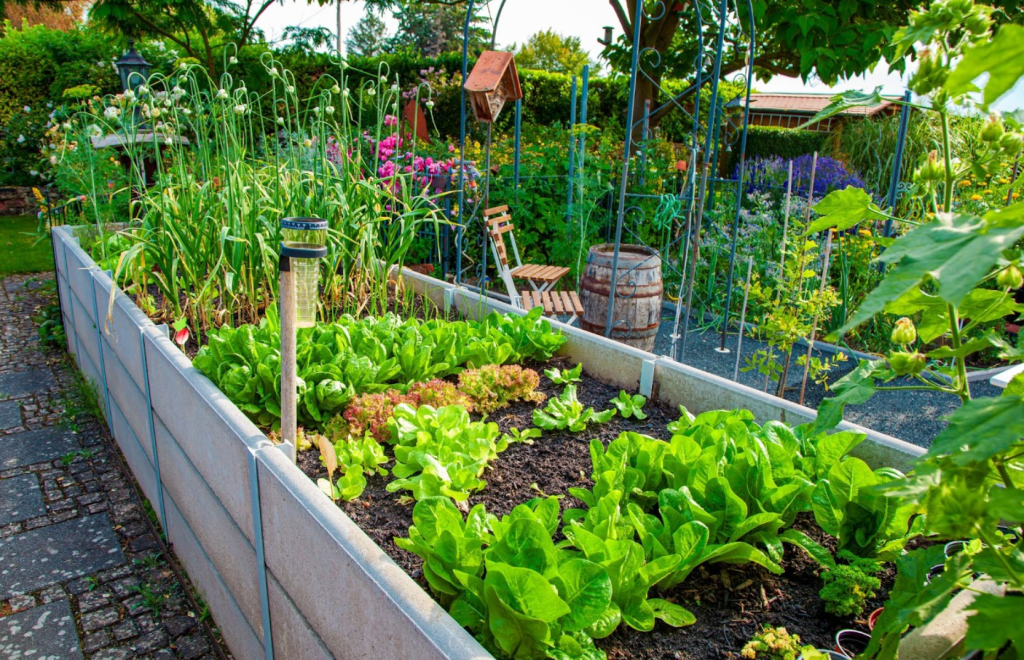 Start a Community Garden in Philadelphia: A Step-by-Step&nbsp;Guide